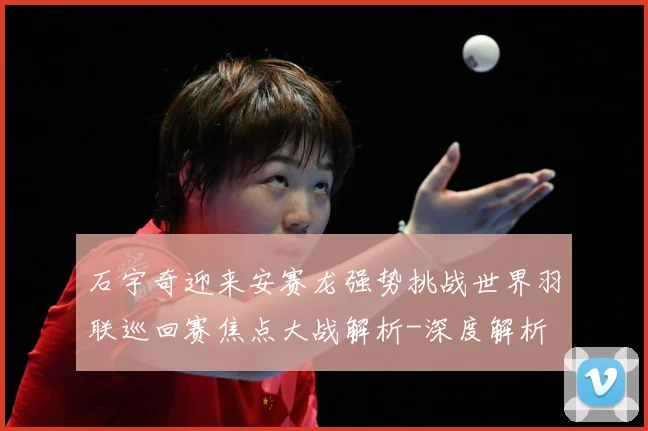 石宇奇迎来安赛龙强势挑战世界羽联巡回赛焦点大战解析-深度解析