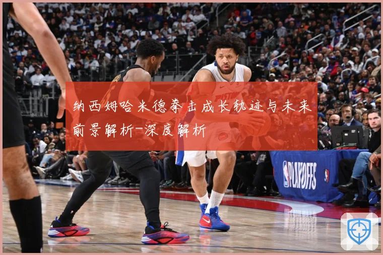 纳西姆哈米德拳击成长轨迹与未来前景解析-深度解析