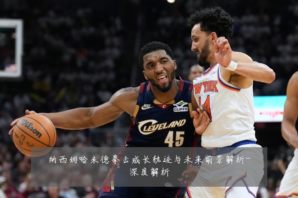纳西姆哈米德拳击成长轨迹与未来前景解析-深度解析